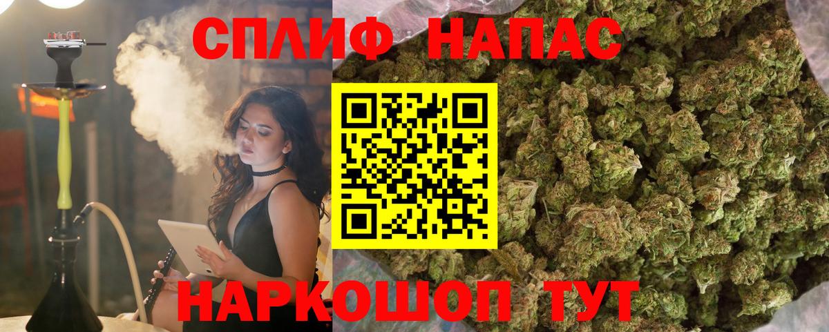 Прохладный  Шишки марихуана индика  Вход с VPN  Каннабис Bruce Banner  Шишки марихуана план 